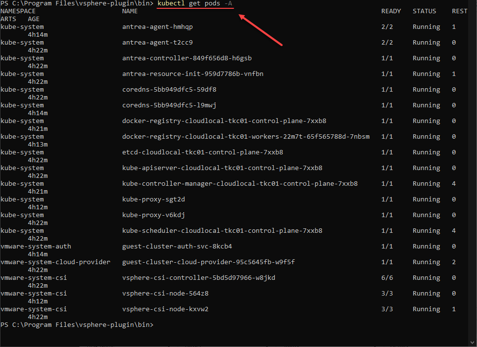 Logging into the vSphere with Tanzu Guest Cluster and viewing pods